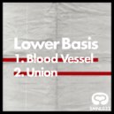 Lower Basis - Blood Vessel