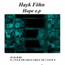 Hayk Föhn - Expansion