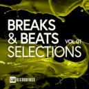 DJ Breeze - Make The Floor Shake