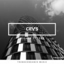 CEV's - Saturday Groove
