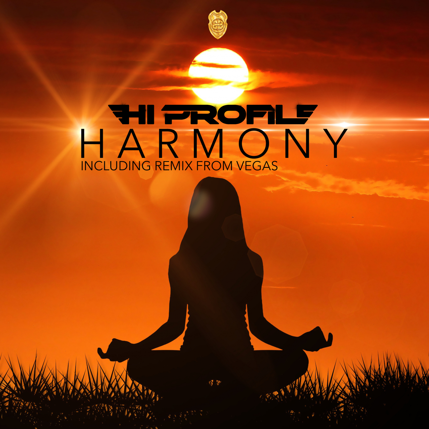 Mahishasura mardini droplex remix. Гармония в Музыке. Гармония трек. Harmony альбомы. Мелодия и Гармония.