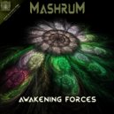 Mashrum - Deep Phase