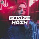 Gosize - Hash