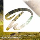 Lost House Rhythms & Waldemar Ivarsson - Tropical Summer 2017