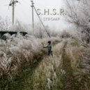 S.H.S.R. - Stromp