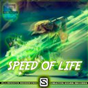 Loopcrashing - Speed of life