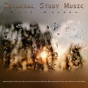 Binaural Beats Study Music & Study Music & Sounds & Study Music - Binaural Beats and Ambient Rain Music