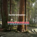 yugaavatara - Rarefied atmosphere