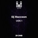 Dj Vl Raccoon - UDE 1