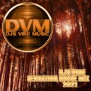 Djs Vibe - Sensation House Mix 2021