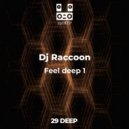 Dj Vl Raccoon - Feel deep 1