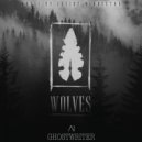 Ghostwriter - Collapse