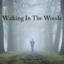 DMC Sergey Freakman - Walking In The Woods