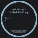 Melodymann - Feel A Little Crazy