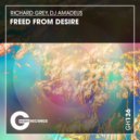 Richard Grey, DJ Amadeus - Freed From Desire
