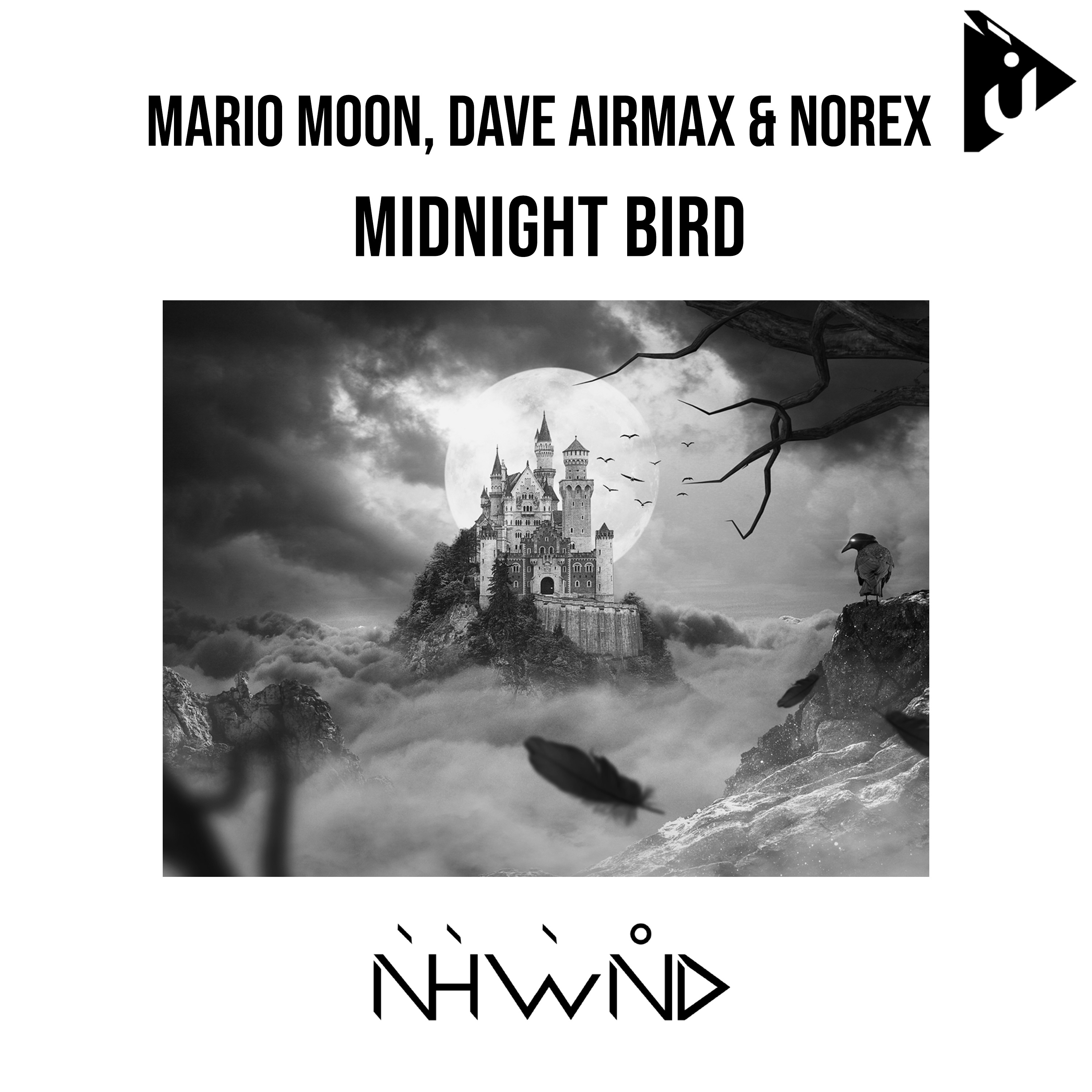 Midnight bird. Bird (Extended Mix).