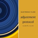 Electronic Fluke - Adjustment protocol