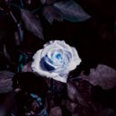 Osc Project - Midnight Flower