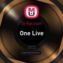 Dj Vl Raccoon - One Live