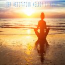 Zen Music Garden - Zen Meditation Melody (1 Hour)