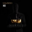 WILOSTEY MUSIC - Sound By Veins 2