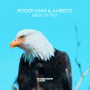 Roger Shah, Ambedo - Birds Of Prey