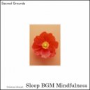 Sleep BGM Mindfulness - Music for Serenity and Tranquility