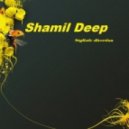 Shamil Deep - Stylistic direction
