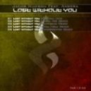 Jacob Hudson feat. Ameera - Lost Without You