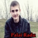 Palai Radu - Finish Summer