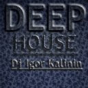 Dj Igor Kalinin - Deep House Mix #2