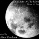 Viktor Pruzhina - Dark Side Of The Moon