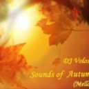 DJ Voloshyn - Sounds of Autumn vol.1