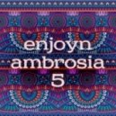 Enjoyn - Ambrosia #5