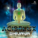 Acidflux - Shree Ganesha
