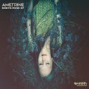 Ametrine - Wish Upon A Flower
