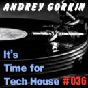 DJ Andrey Gorkin - It's Time For Tech House #036