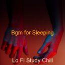Lo Fi Study Chill - Extraordinary Soundscapes for Work from Home