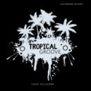 Cekay Pellegrini - Tropical Groove