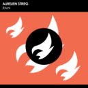 Aurelien Stireg - Raw