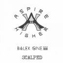 Dalek One - Scalped