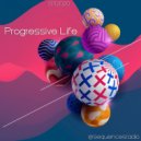 Vitolly - Progressive Life @sequencesradio (13.11.2020)