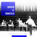 Adi Baniciu - Brau cu Saxofon