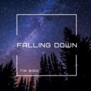 Tim Bird - Falling Down