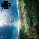 Timas Lucky - Vibro Checking Vol 1
