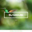 DJ Gadjik - Justice