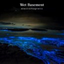Wet Basement - Retrigger