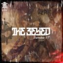 The 3Eyed - E-Vol