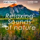 Aleh Famin - Relaxing Sounds of nature