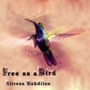 Alireza Mahdiloo - Free As A Bird